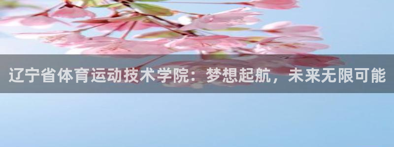 vsport体育官方集团官网:辽宁省体育运动技术学院:梦想起