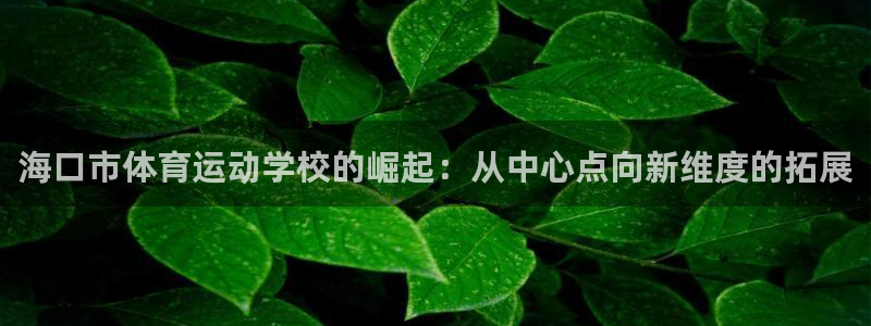 vsport体育官网下载平台注册要钱吗:海口市体育运动学校的