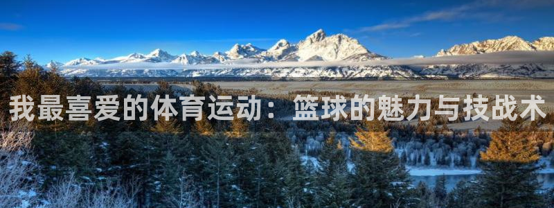 vsport体育官方正版app集团官网网址:我最喜爱的体育运