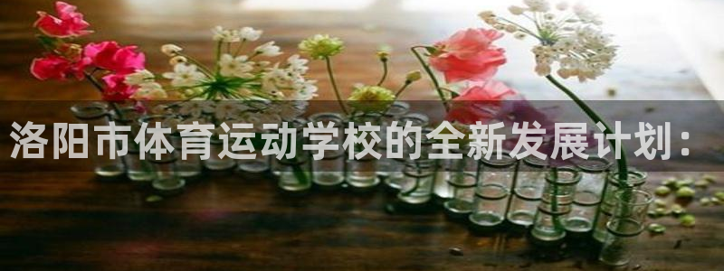 vsport体育官网下载平台是正规平台吗知乎:洛阳市体育运动