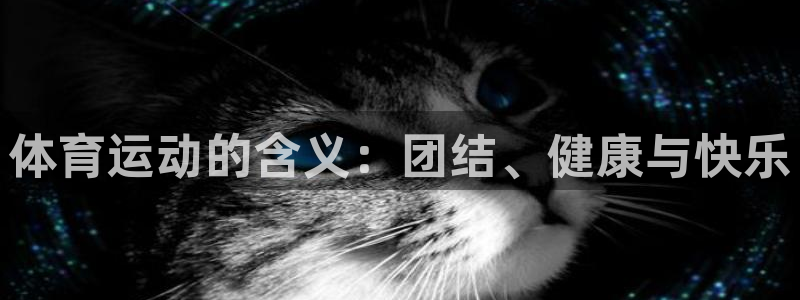 vsport体育官网下载招商电话:体育运动的含义:团结、健康